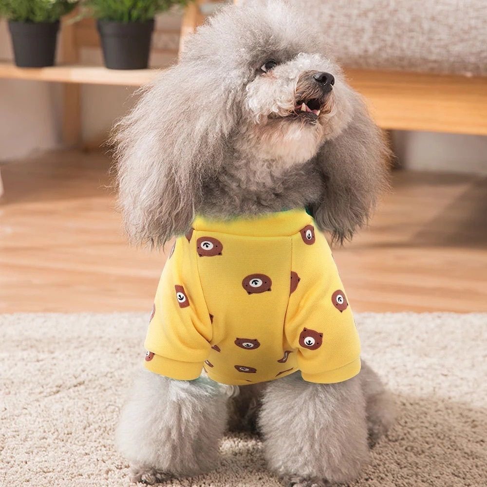 Yellow Bear Pet Clothes